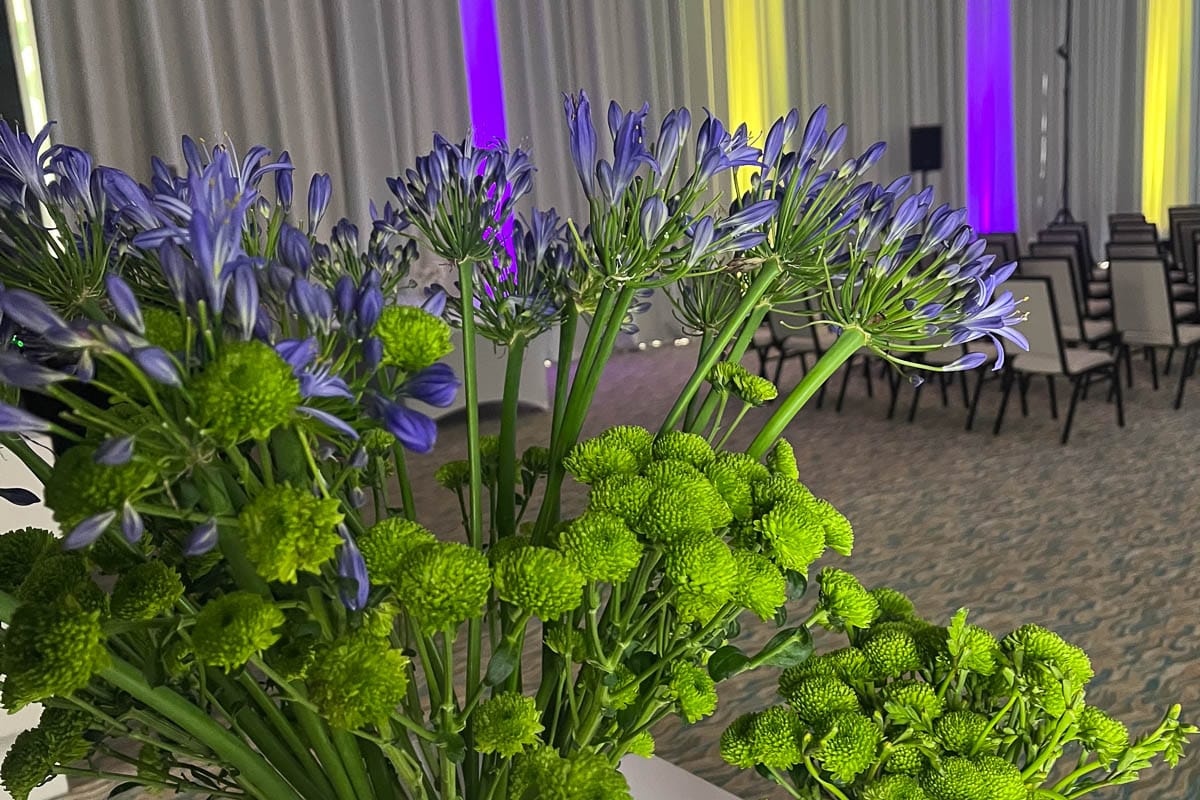 KNK-Referenec-JJMTE-14